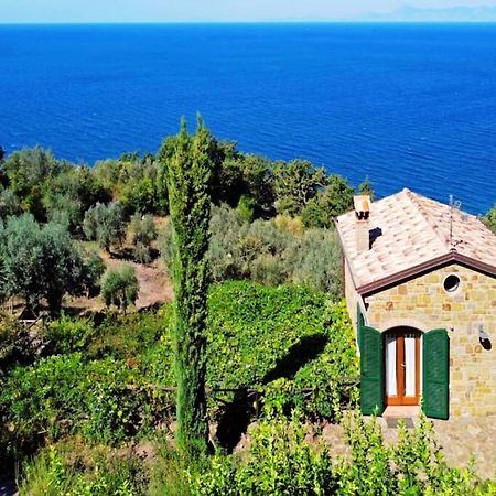 Bellezza In Cilento Panoramic Apts Castellabate Eksteriør bilde