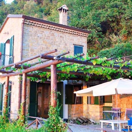 Bellezza In Cilento Panoramic Apts Castellabate Eksteriør bilde