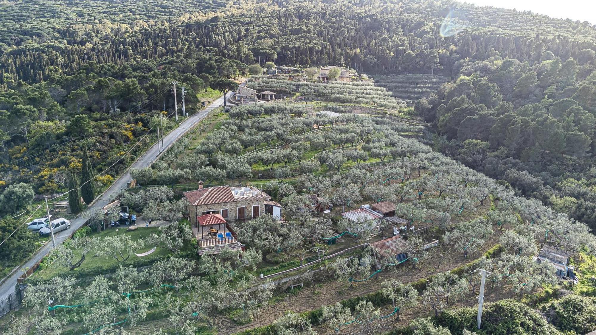 Bellezza In Cilento Panoramic Apts Castellabate Eksteriør bilde