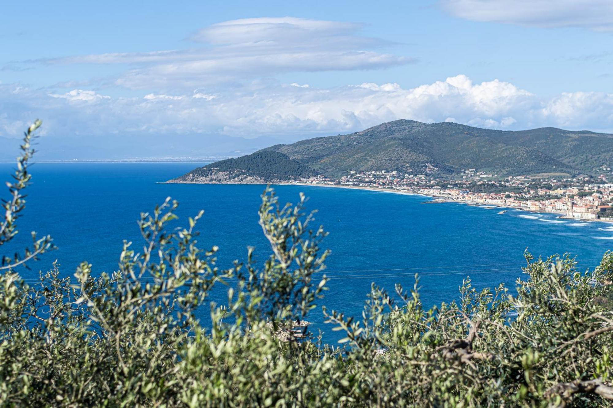 Bellezza In Cilento Panoramic Apts Castellabate Eksteriør bilde