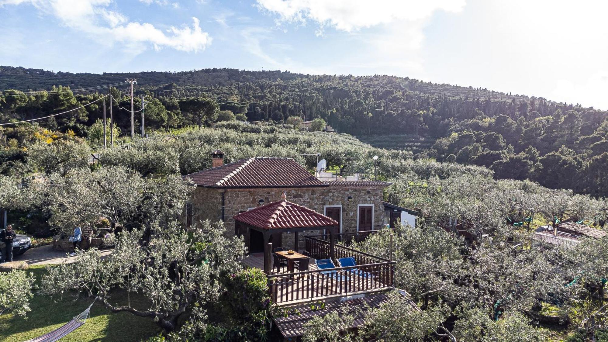 Bellezza In Cilento Panoramic Apts Castellabate Eksteriør bilde