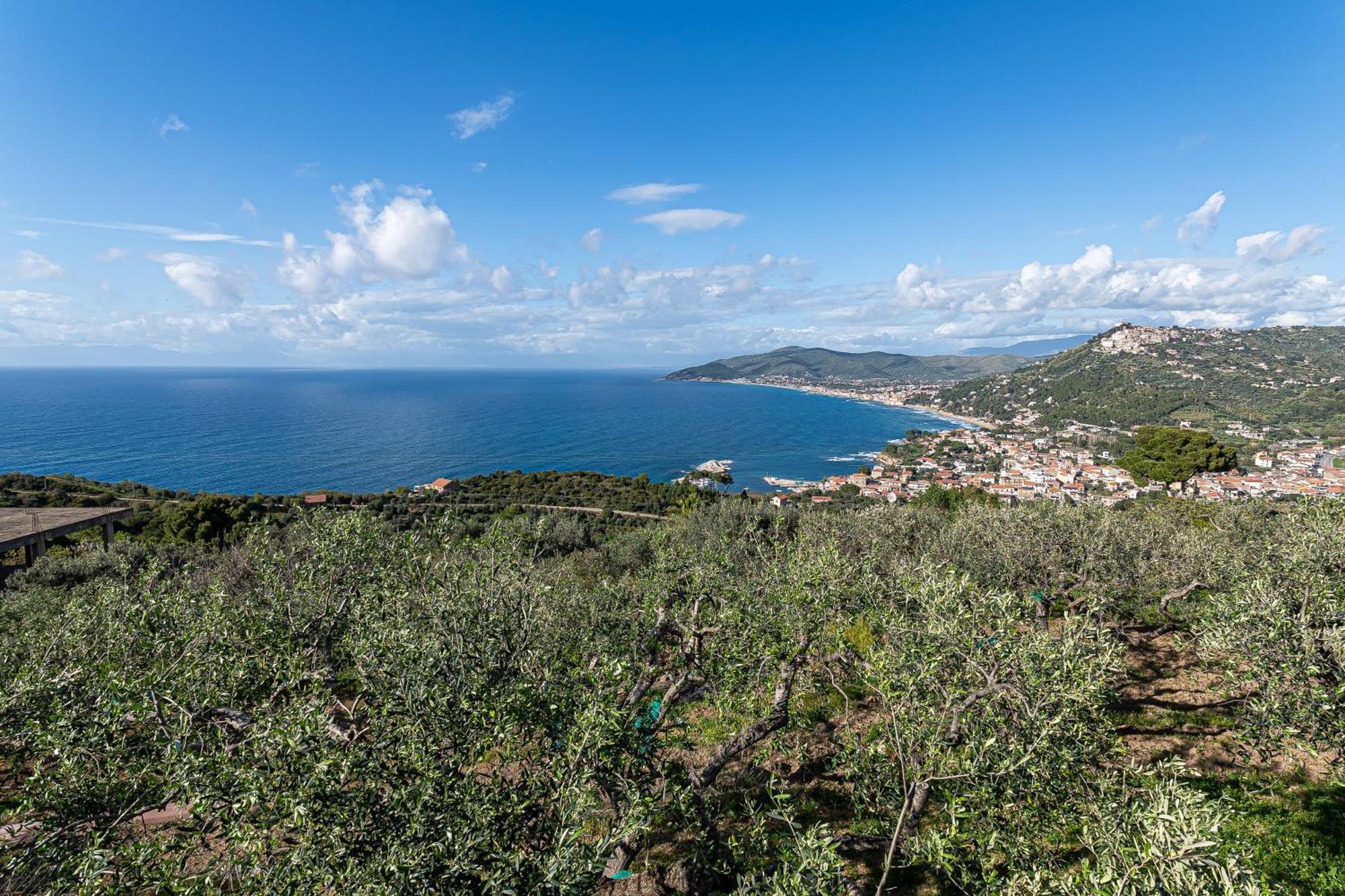 Bellezza In Cilento Panoramic Apts Castellabate Eksteriør bilde