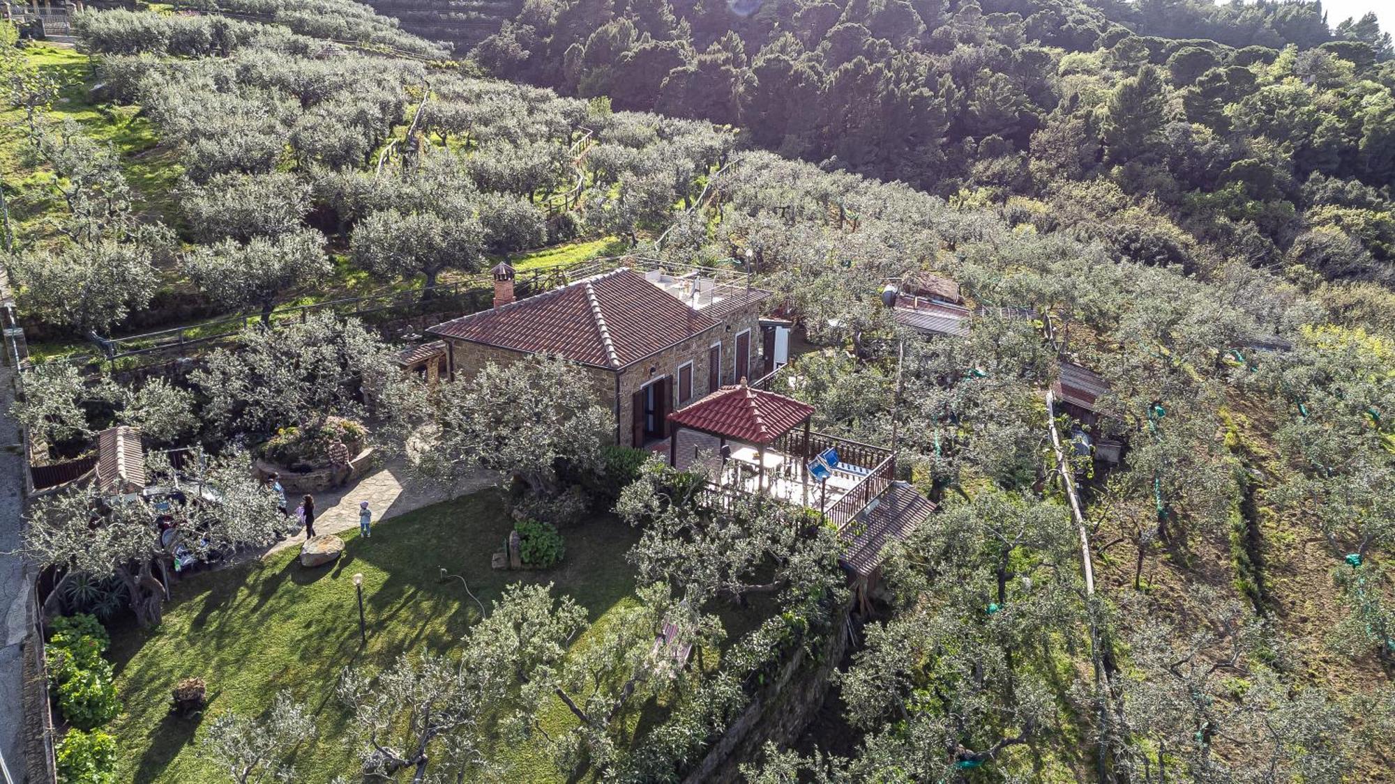 Bellezza In Cilento Panoramic Apts Castellabate Eksteriør bilde